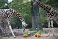 2015-10-22 06-54-25 (2)
